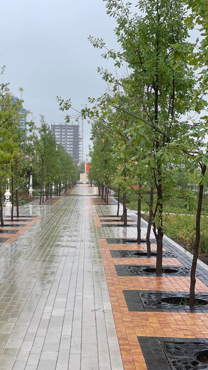 Приствольная решетка для дерева ZKING CRUST 1.2х1.2м Черная в Гатчине фото