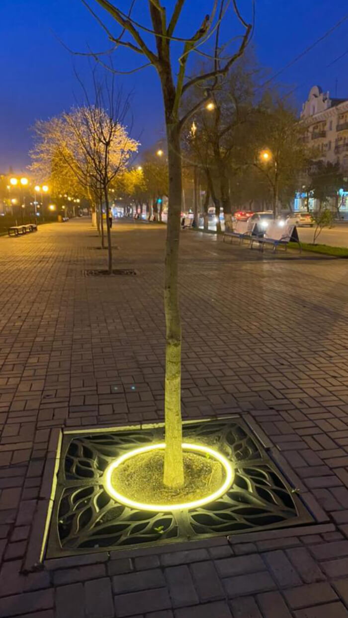 Приствольная решетка для дерева ZKING CRUST 1.2х1.2м Черная в Гатчине фото